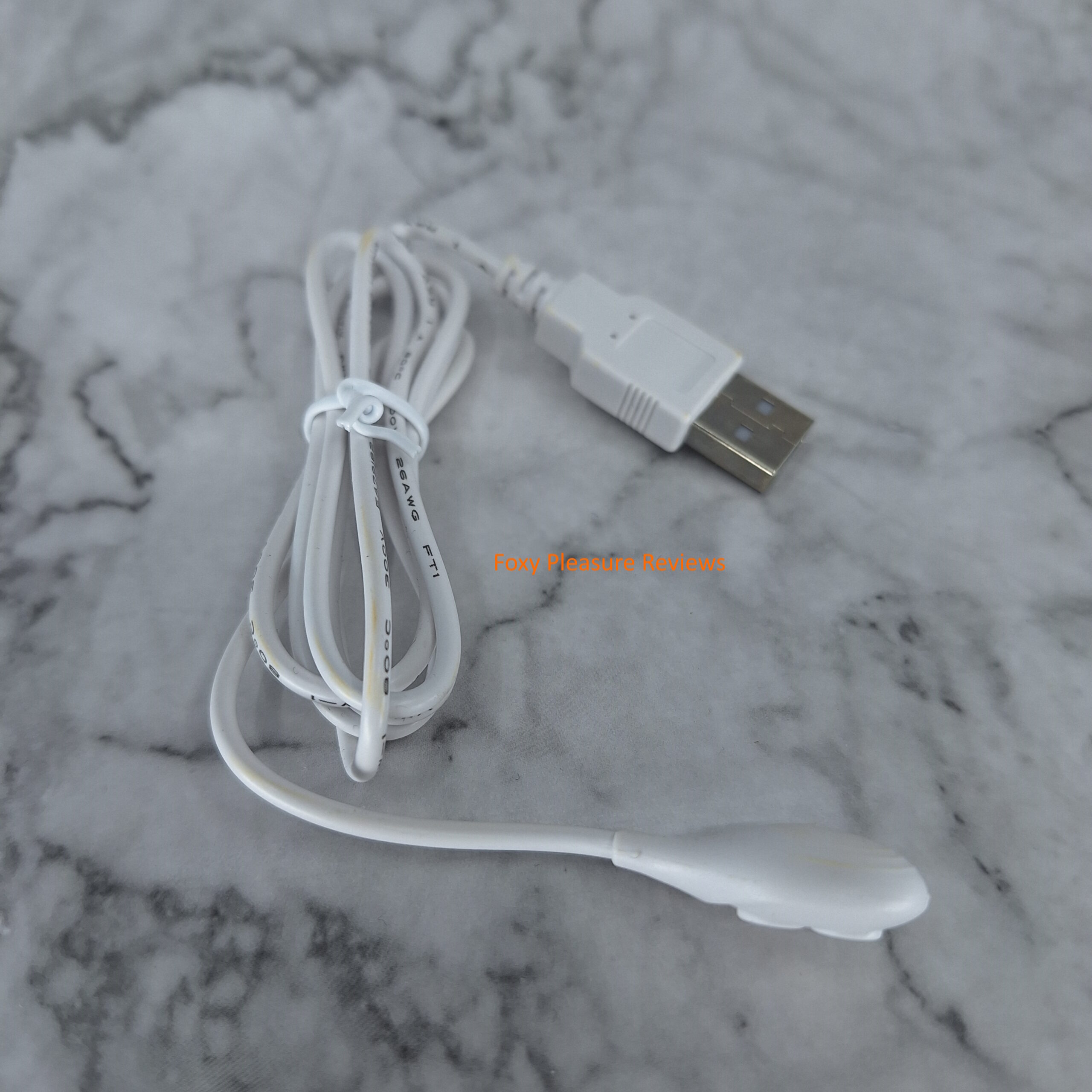 gush_chargingCable