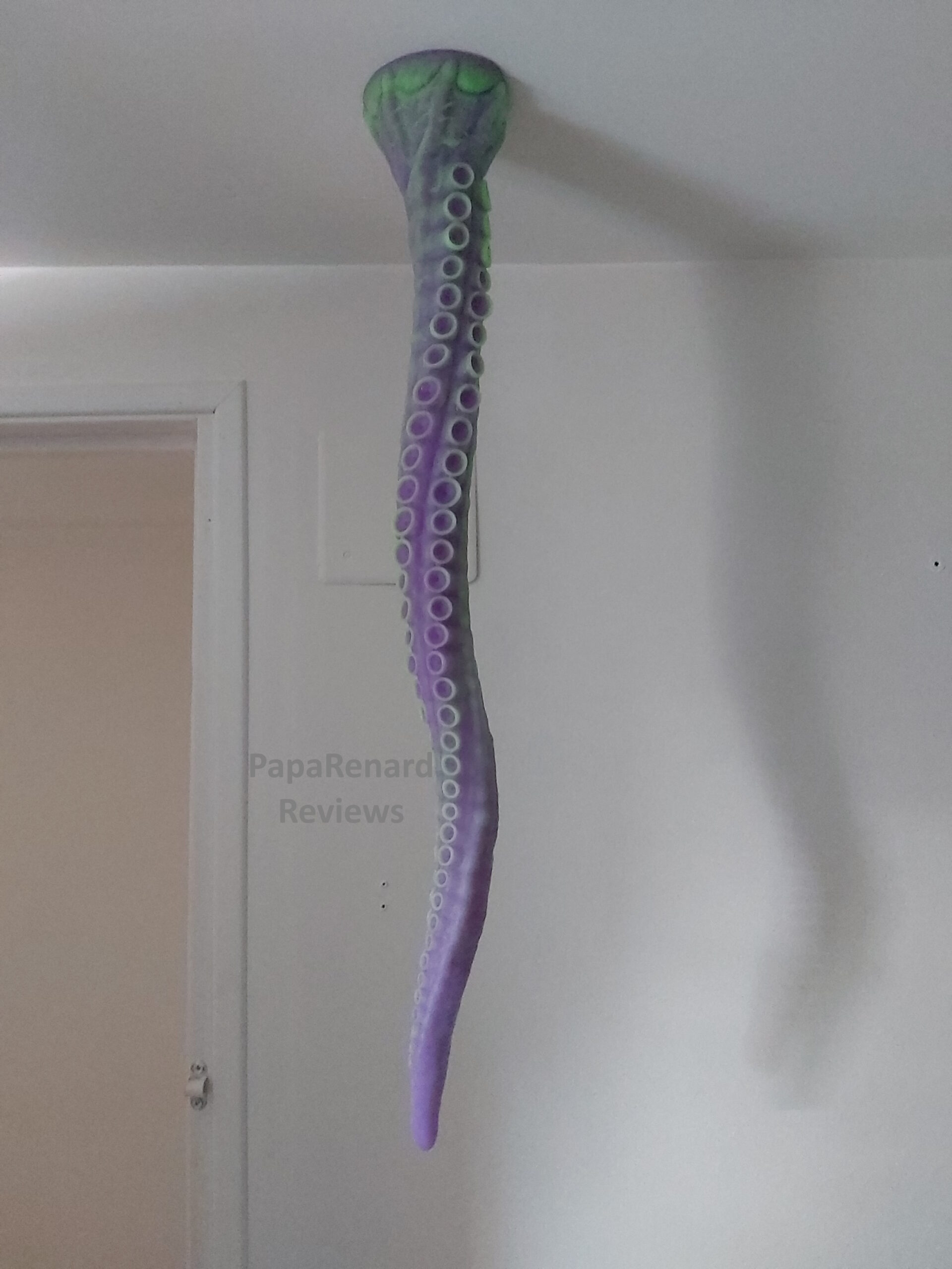 Hanging the Alla to dry after made it boil.